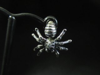 Spider Silver Pierceѥԥ