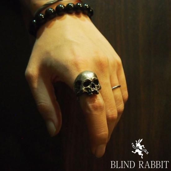 BLIND RABBIT-ブラインドラビット-Evolution I Aging- SILVER SHIELD