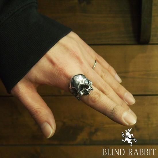 Evolution I Aging［BLIND RABBIT］23号 BLIND RABBIT-ブラインドラビット-Evolution I Aging- SILVER SHIELD