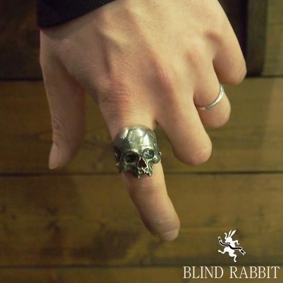 Evolution I Aging［BLIND RABBIT］23号 Evolution I Aging［BLIND RABBIT］23号