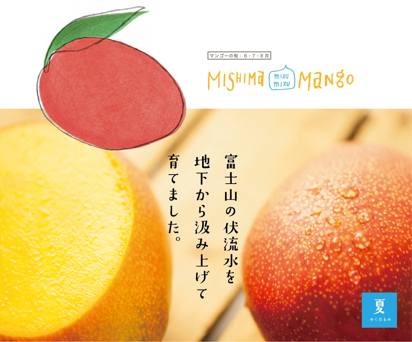 mango_top
