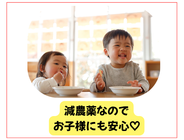 安心