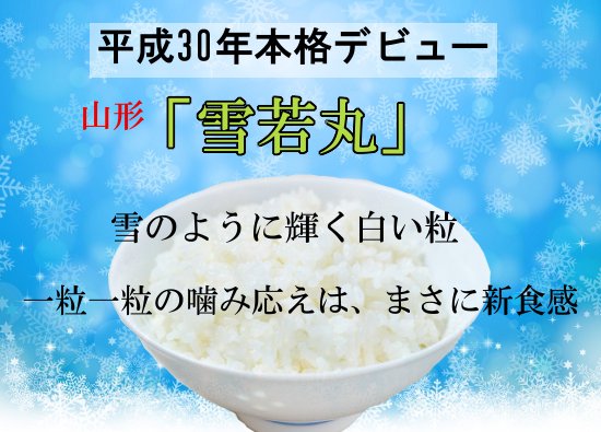 令和5年度産 山形産 雪若丸(5kg) - 　おいしいお米の全国通販　京都の米屋　小泉米穀 　五つ星お米マイスター