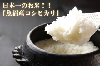 新米】魚沼産コシヒカリ - おいしいお米の全国通販 京都の米屋 小泉 