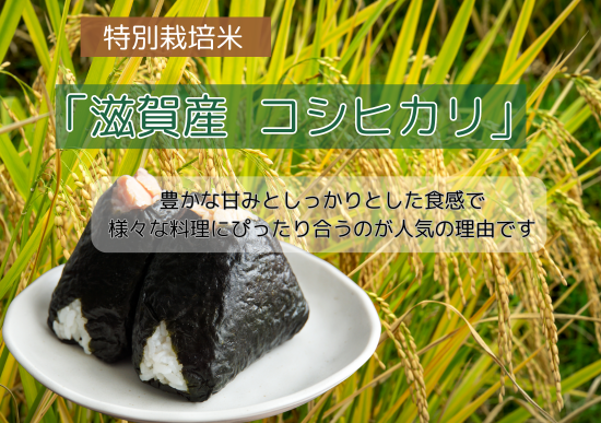 農業も外国に頼っている! 玄米10kg 5年産コシヒカリ 特別栽培 農業も外国に頼っている! 玄米10kg 5年産コシヒカリ 特別栽培
