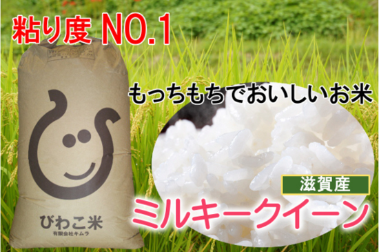 令和５年度産 滋賀産 ミルキークイーン(10kg) - おいしいお米の全国通販 京都の米屋 小泉米穀 五つ星お米マイスター