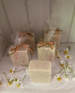 NEW!!  Ȭ�����Ф���ץ�ߥ��ॷ�꡼���֥���ߡ���� ����