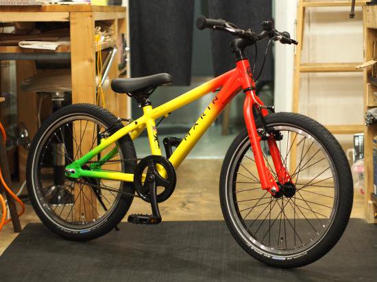 MARIN 2017 DONKY Jr20 RASTA - Bicycle Shop Pino Online