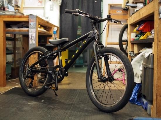 MARIN 2024 DONKY Jr20 BLACK - Bicycle Shop Pino Online