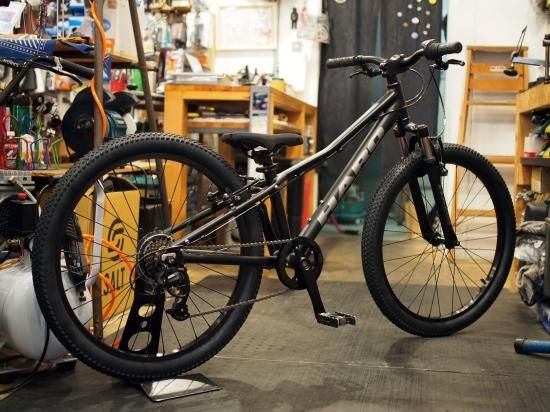 Haro Flightline 24 マウンテンバイク 24インチ HARO BIKES（ハローバイクス）2020年モデル FLIGHTLINE 24