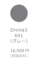 Divina 3 691（グレー）