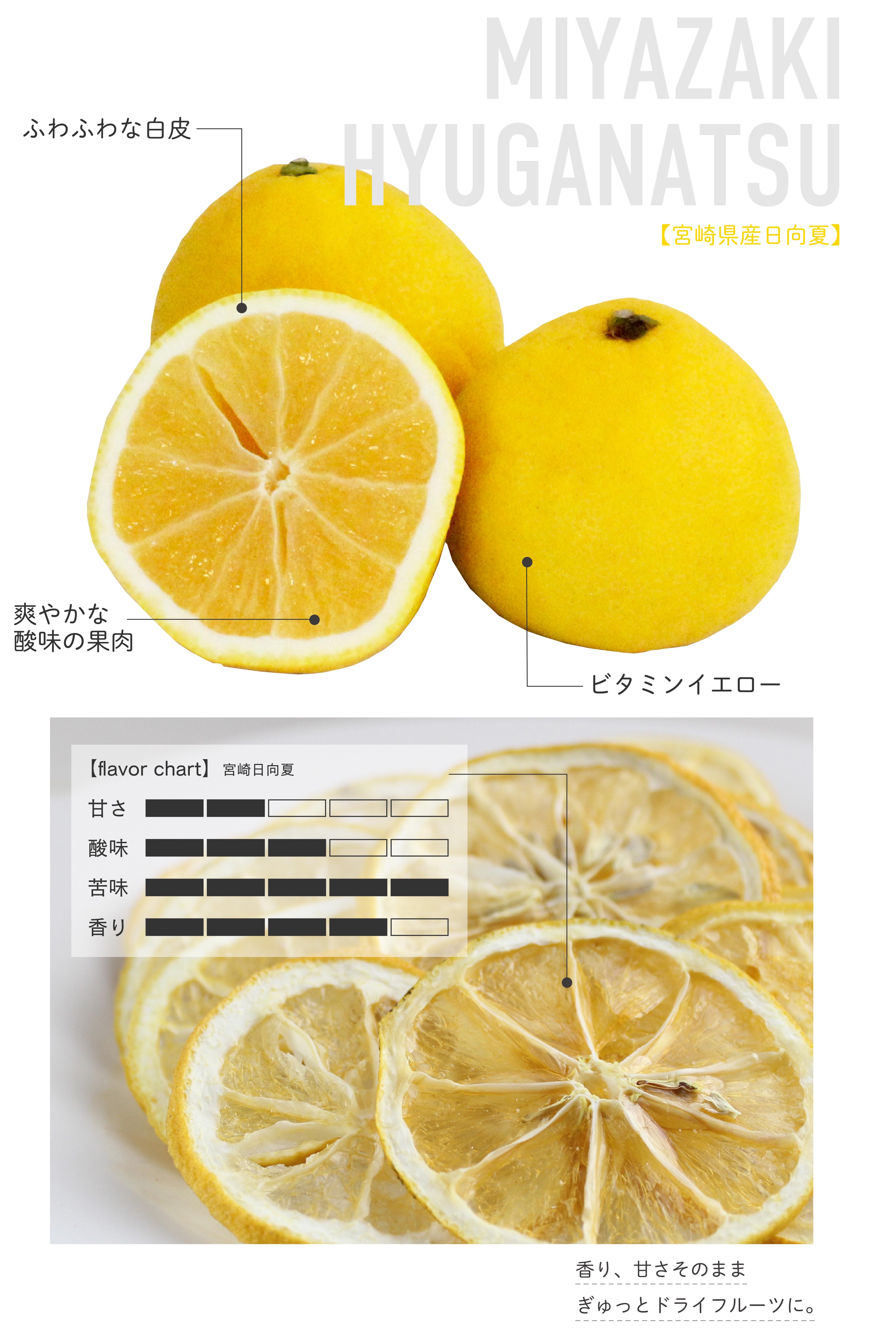 国産ドライフルーツ】九州ピュアドライ お試しセット | 宮崎マンゴー