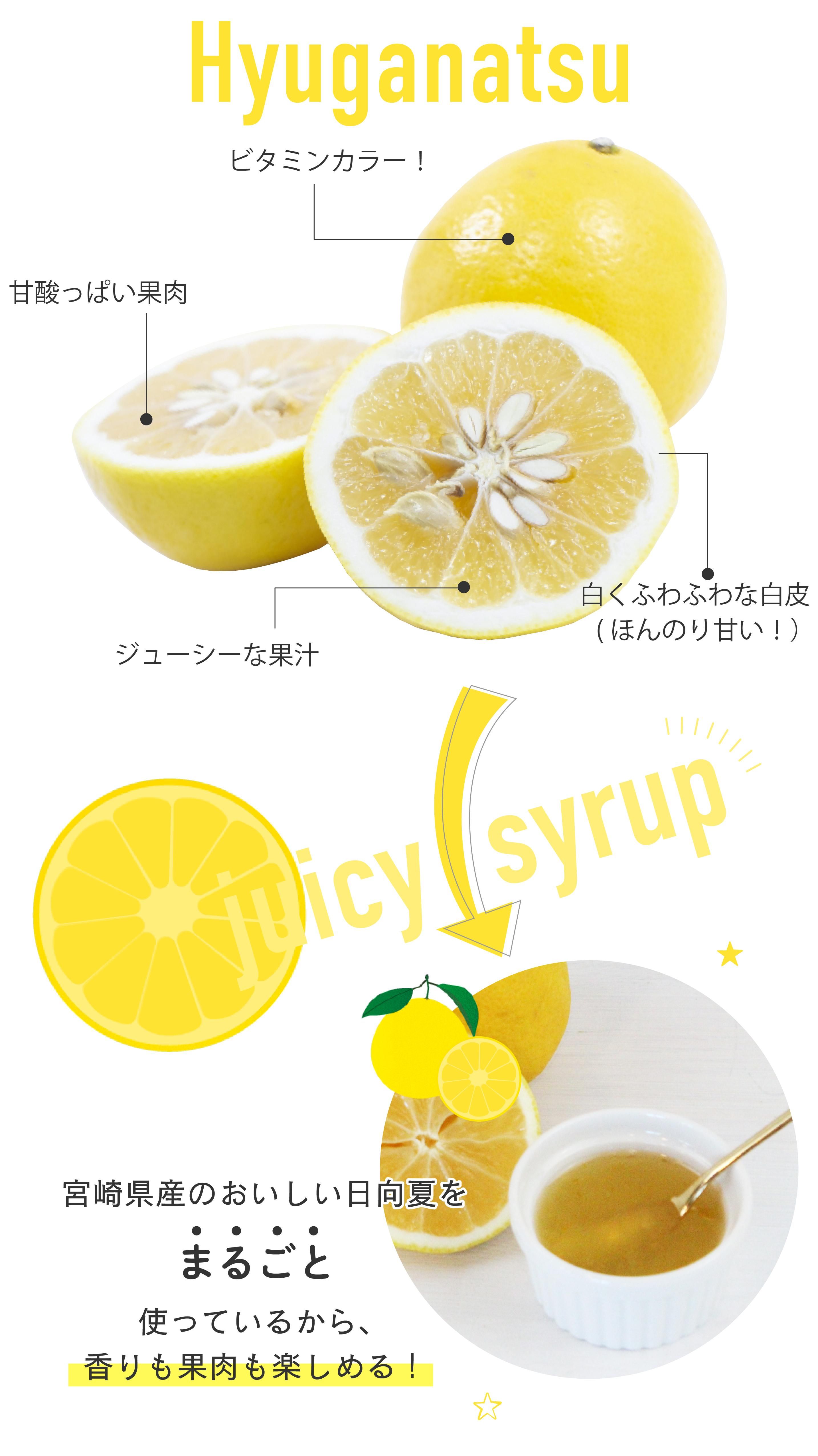 宮崎サワーの素 | 日向夏 - 九州フルーツギフトPURE.