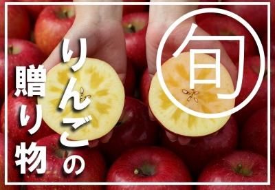 りんご（9月～12月） - 大野農園オンラインショップ