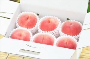 <img class='new_mark_img1' src='https://img.shop-pro.jp/img/new/icons1.gif' style='border:none;display:inline;margin:0px;padding:0px;width:auto;' />2025ǯͽ۲ͺ2KȢ(85)7ܡ