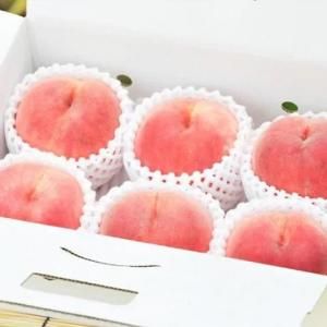 <img class='new_mark_img1' src='https://img.shop-pro.jp/img/new/icons1.gif' style='border:none;display:inline;margin:0px;padding:0px;width:auto;' />2025ǯͽ۲ͺ 2kg(85)7ܡ