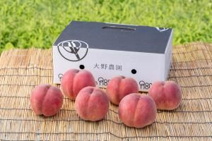 <img class='new_mark_img1' src='https://img.shop-pro.jp/img/new/icons1.gif' style='border:none;display:inline;margin:0px;padding:0px;width:auto;' />2025ǯͽۤޤɤ 2kg(85)8ܡ