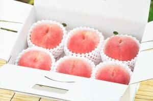 <img class='new_mark_img1' src='https://img.shop-pro.jp/img/new/icons1.gif' style='border:none;display:inline;margin:0px;padding:0px;width:auto;' />2025ǯͽ˱2KȢ(85)7ܡ