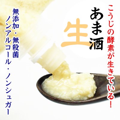 河村こうじ屋 生白米甘酒 400ｇ×10個 濃縮タイプ 本州四国送料無料