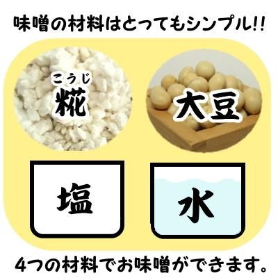 河村こうじ屋 かんたん！手作り味噌セット 容器付き できあがり2.7キロ 蒸し大豆 乾燥米こうじ 赤穂の天塩 尾鷲海洋深層水 30分でできる 計量済み  説明書付き 贅沢レシピ