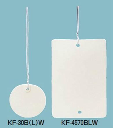 未来工業 KF-30BW カラーエフ（バインド線付）プラスチック製