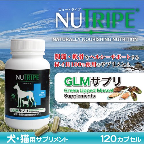 DINGO/超大型犬までのサプリメント　NUTRIPE ニュートライプ GLM サプリ