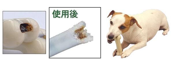 犬 マローボーン マローボーン 犬 口コミ Kabeirasutodcynji7r 犬 マローボーン マローボーン 犬 口コミ Kabeirasutodcynji7r