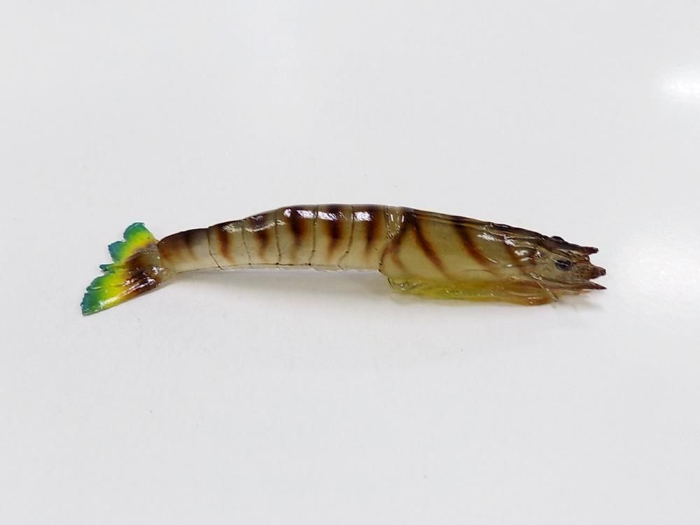 逸品作品 クルマエビ