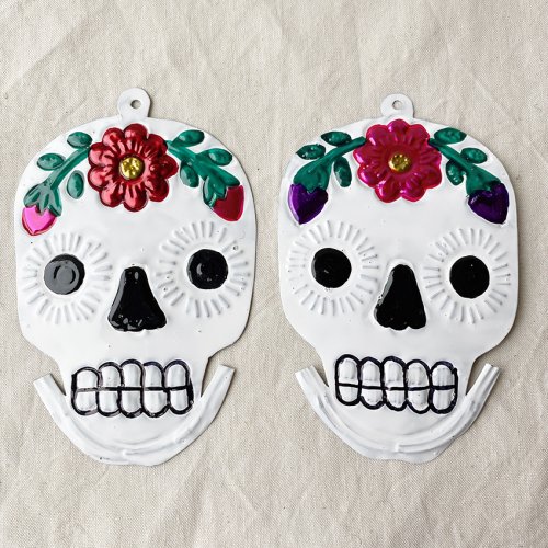 Mexican Skull Tin Plate