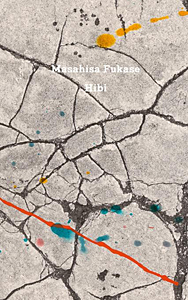 【未開封】深瀬昌久 Masahisa Fukase / Hibi HIBI by Masahisa Fukase – twelvebooks
