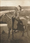Edward S.Curtis: Great Plants