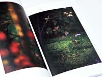 Terri Weifenbach/William Wylie: As the Crows Flies