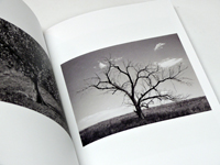 Terri Weifenbach/William Wylie: As the Crows Flies