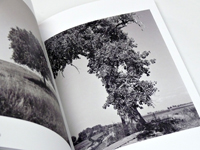 Terri Weifenbach/William Wylie: As the Crows Flies