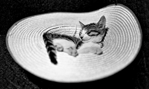 深瀬昌久: Afterword (2nd)（ご予約）