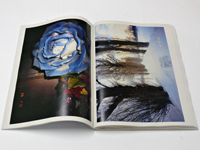 【サイン入り美品】横田大輔　TOWARDS TO THE NORTH 横田大輔: Towards the North (Daisuke Yokota)