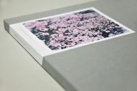 鈴木理策: Sakura（Risaku Suzuki）
