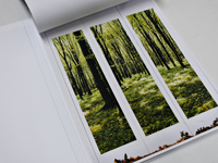 Go Itami: Photocopy (伊丹豪)