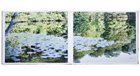 Water Mirror　鈴木理策　Risaku Suzuki　直筆サイン入 Water Mirror - 鈴木 理策 / Risaku Suzuki