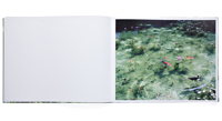 Water Mirror　鈴木理策　Risaku Suzuki　直筆サイン入 UESHIMA MUSEUM COLLECTION