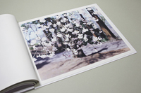 鈴木理策 / 写真集2冊セット（Sakura、White）