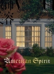 Roe Ethridge: American Spirit 