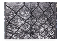 森山大道/ Daido Moriyama： Ango (日本語版)(サイン入り)