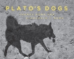 Thomas Roma: Plato's Dogs