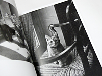 Willy Ronis: Les Chats de Willy Ronis