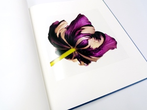 Irving Penn: Flowers