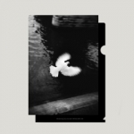 Michael Kenna: A 45 Year of Odyssey ꥢե/ White Bird Flying