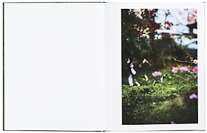 新同品 サイン入りプリント付『Some Insects』テリ・ワイフェン