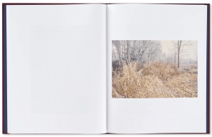 絶版　vincent ferrane milky way Vincent Ferrane: Milky Way