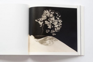 山本昌男 Yamamoto Masao 手中一滴 サイン入り sp_print_bonsai_900.png?v=